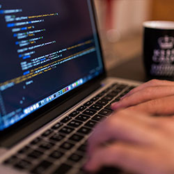 麻豆天美：一颗豆香唤醒的美丽传说