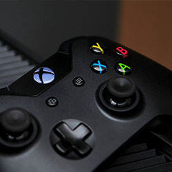 蘑菇免费观看：带你走进自然与创意的免费观影之旅