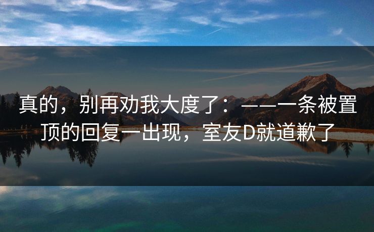 真的，别再劝我大度了：——一条被置顶的回复一出现，室友D就道歉了